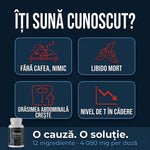 TestoPrime — Suplimentul nr. 1 pentru bărbați 2