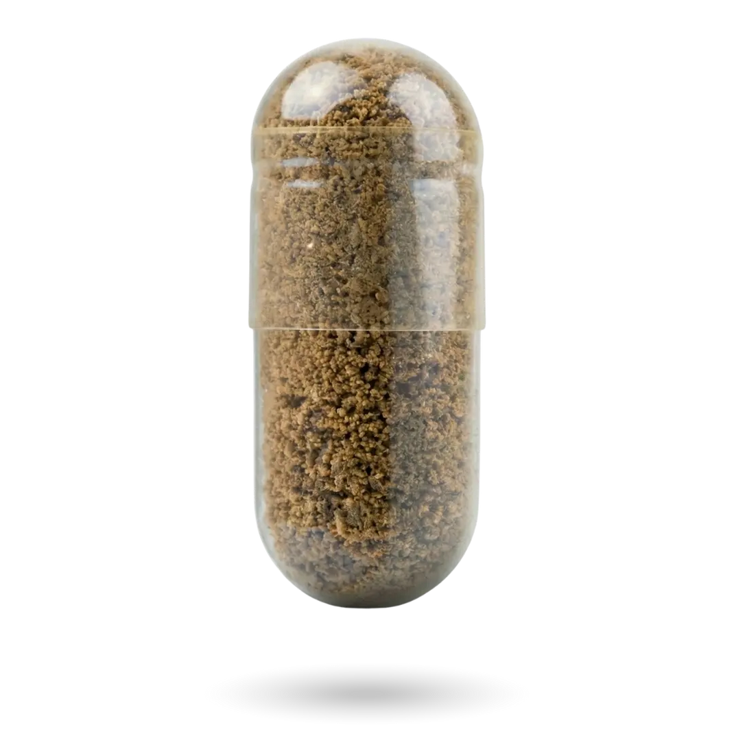 Testo Prime capsule
